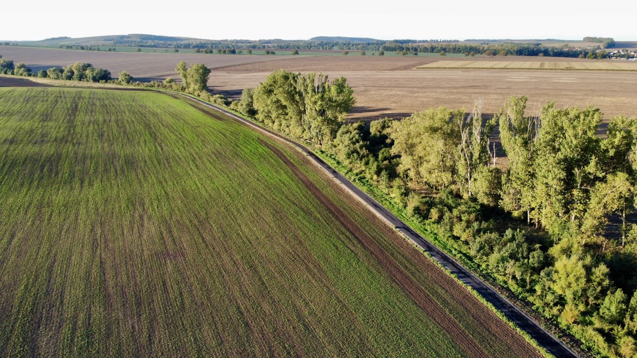 Cukrovarská cyklostezka Vyškov–Kozlany, I. úsek - Edilizia stradale e costruzione di ponti